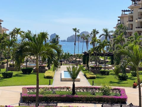 View from the Patio