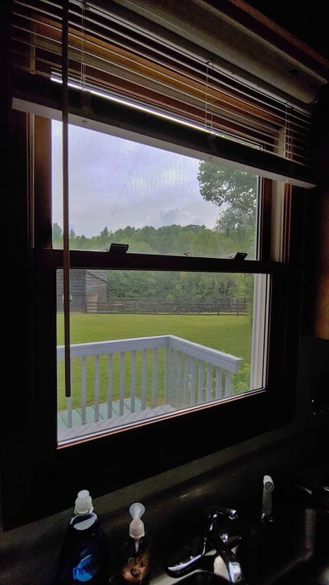 view from kitchen sink