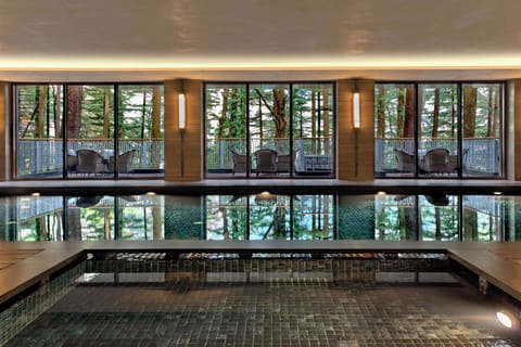 Indoor pool, open 8:00 AM to 8:00 PM, sun loungers