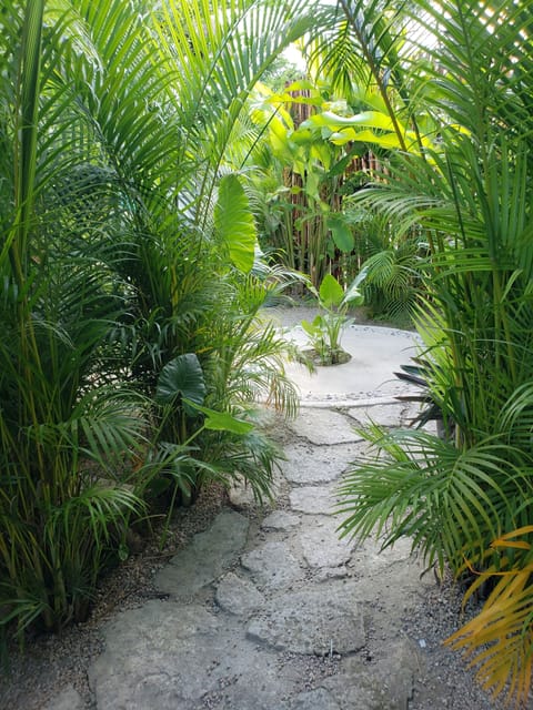 Garden view