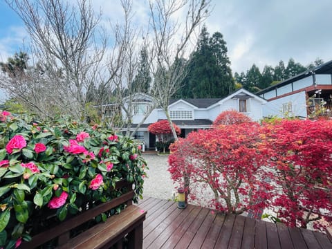 Deluxe Quadruple Room | Terrace/patio