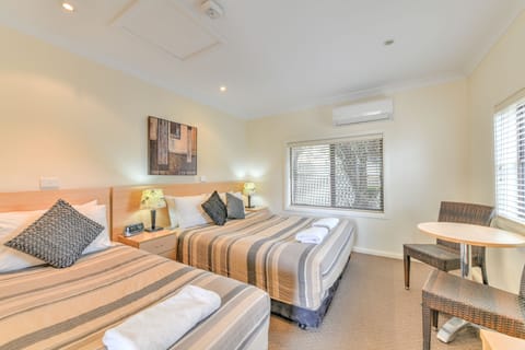 Minibar, desk, iron/ironing board, WiFi (free)