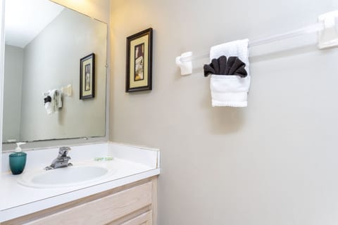 Downstairs half bathroom