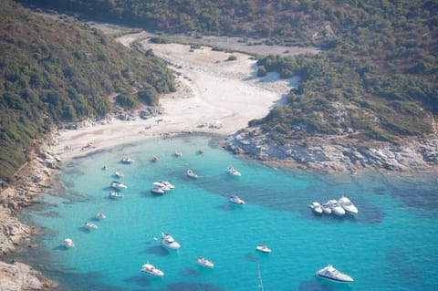 Beach nearby, white sand, scuba diving, snorkeling