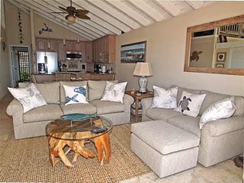 different view of the living area