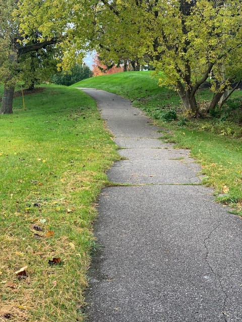Convenient bike path behind the property 