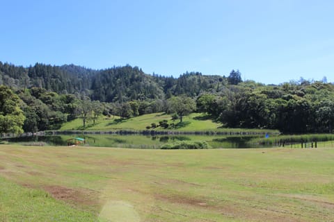 Golf and Dock Just off the patios for the  Suite.
