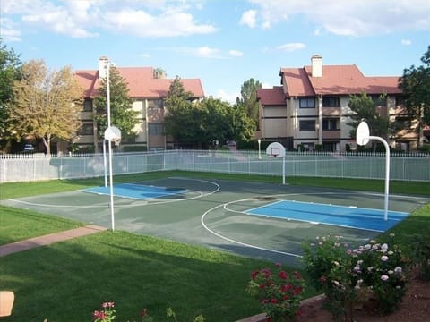 Basketball and volleyball. Available 8 AM - 10 PM (11 PM weekends)