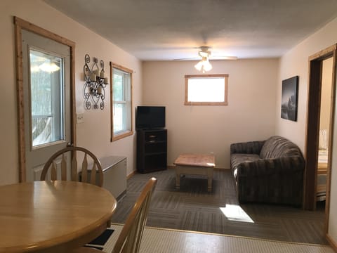 Living Room (with pull out couch)