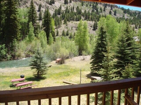 View from Upper Deck