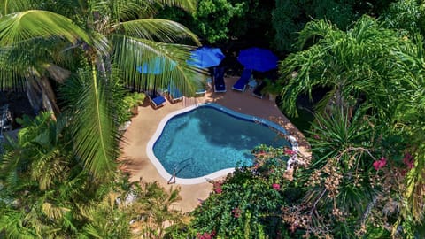 Welcome to our slice of paradise!