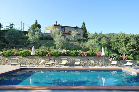 Swimming pool and outdoor view