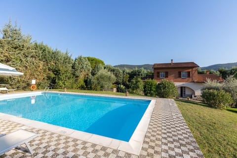 Swimming pool and outdoor view