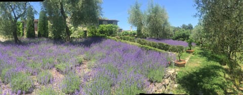 Building Exterior, Garden