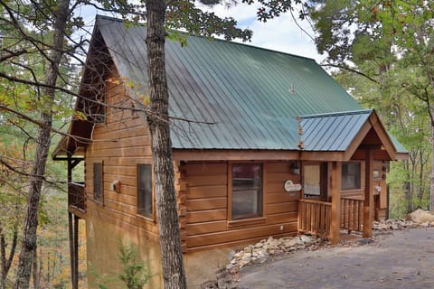 Cabin Fever