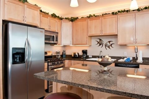 Fully Equipped Gourmet Kitchen