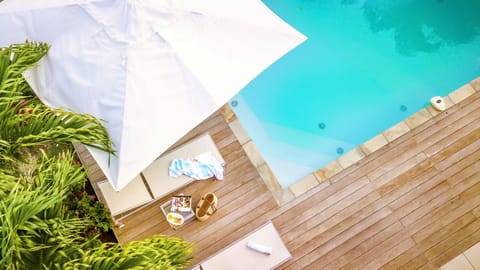 Areca Palm, the villa of your dreams