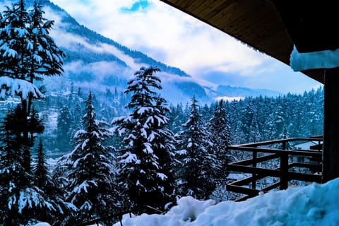 Mountain view