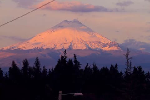 View of Cotopaxi from the farm