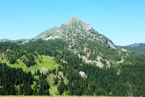 Unique villa on a hillside with impressive mountain views House in Montenegro