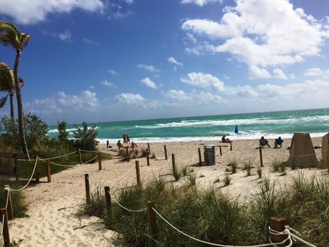 The beach