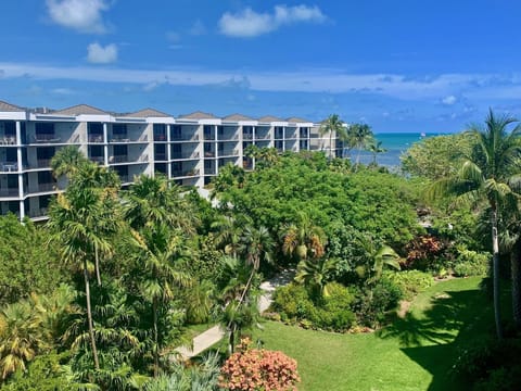 Beautiful View from Balcony & Living room - Ocean & Lush tropical courtyard