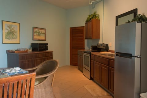 Lower level kitchen.