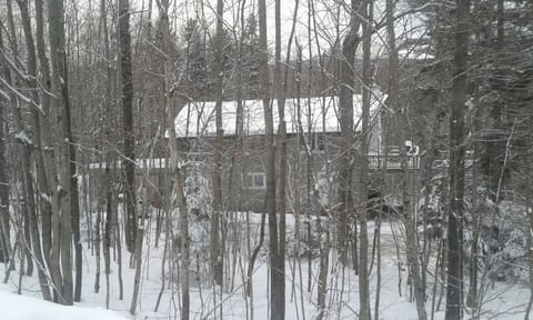 Another Powder snow Day. A Mount Snow Rental. Snow Vacation Rental 