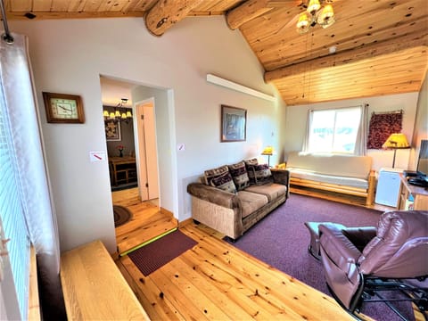 Living room with AC unit