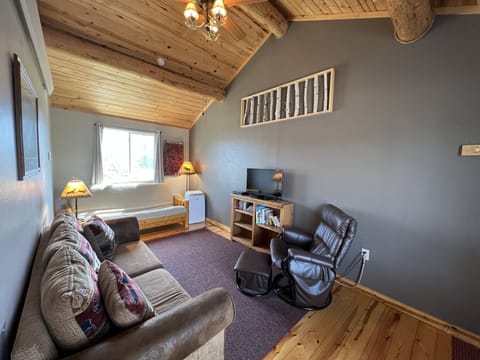 Living room with AC unit