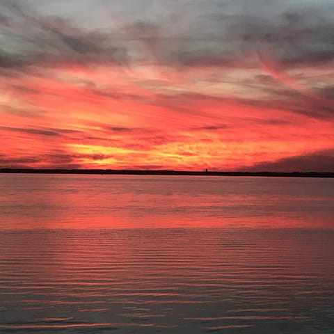 Gorgeous skies