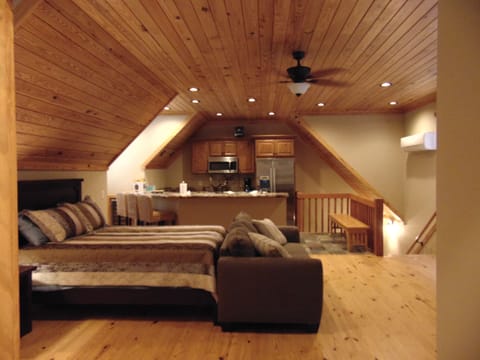 Full size bed with fold out sofa bed