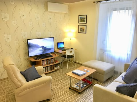 Living room has a big 46 inch smart TV with DVD player