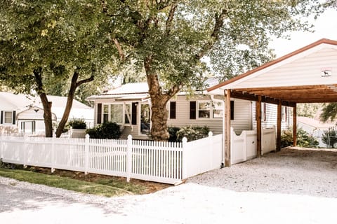 Jazzee's Diamond Pet Friendly 