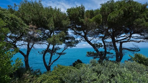 Villetta, Punta Nera, Monte Argentario, Grosseto and Maremma Apartment in Porto Santo Stefano