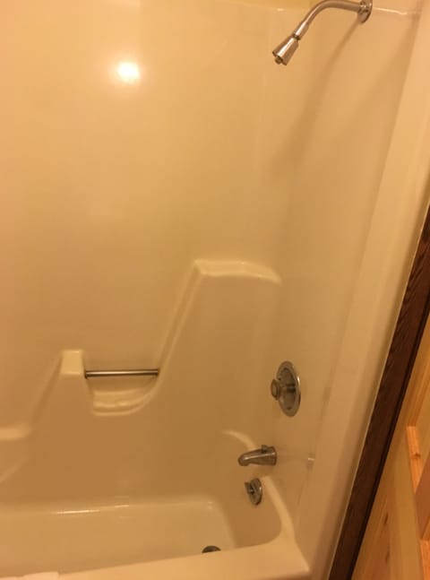 Combined shower/tub, deep soaking tub, hair dryer, towels