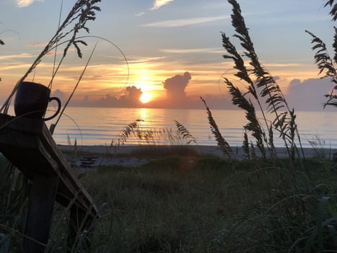 Surf shack oceanfront
