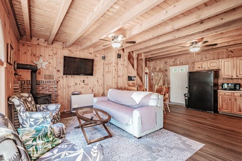 Living room with a smart TV and queen size pull out bed