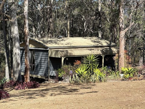 A Home among the GumTrees