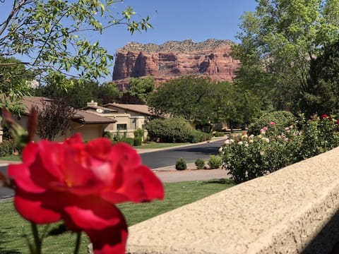 Beautiful view of Courthouse Butte from front patio
