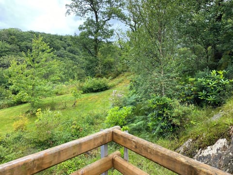 Garden view-Celyn suite (floor 1) | Balcony view