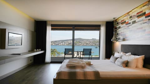 Beach/ocean view