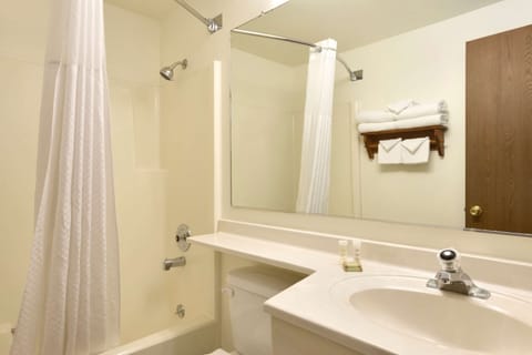 Room, 1 Queen Bed, Accessible, Non Smoking | Bathroom | Eco-friendly toiletries, hair dryer, towels