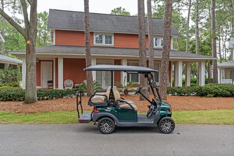 Brand New Golf Cart