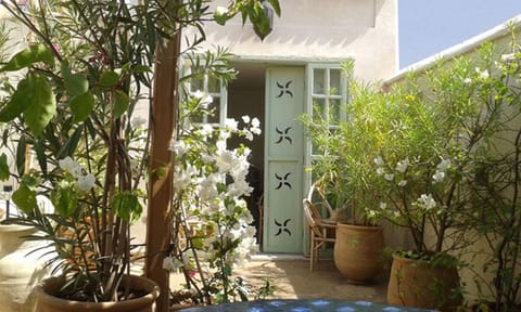 Garden on the roof terrace: jasmine, bougainvillea, laurel, fruit trees ...