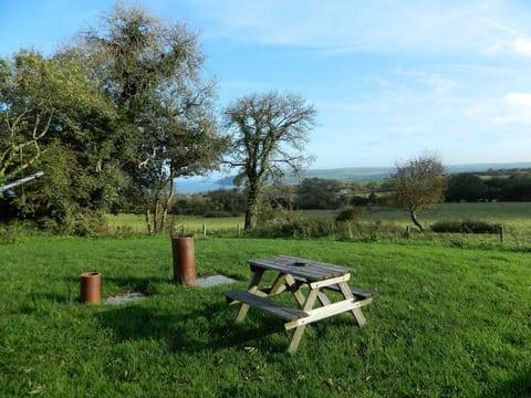 Large private garden overlooking the sea
