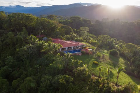 Toucan Gardens - from  above