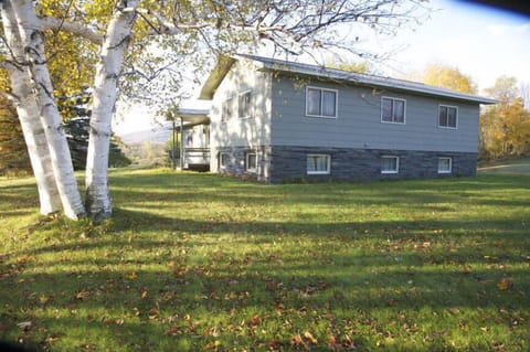 Back yard view, gorgeous fruit trees on property, birches, cedar and more