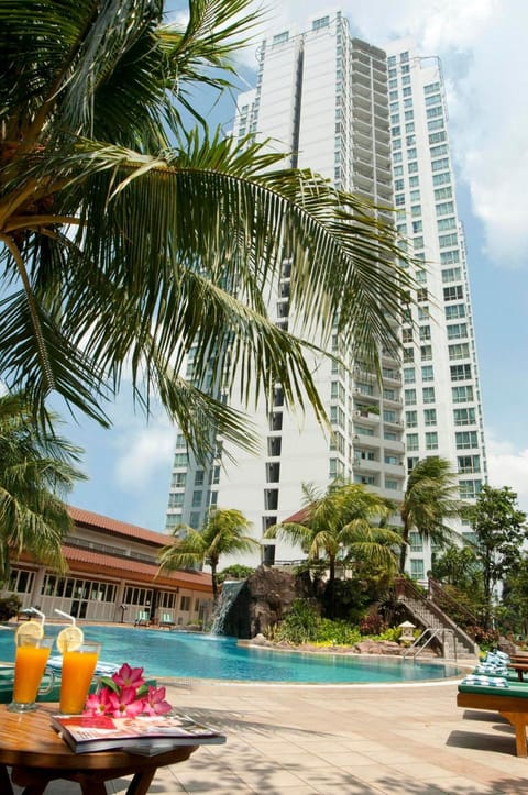 Outdoor pool, sun loungers