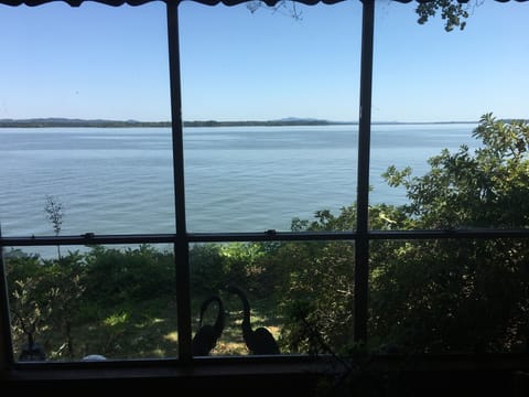 View from Living Room